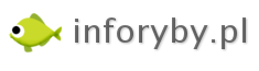 O nas